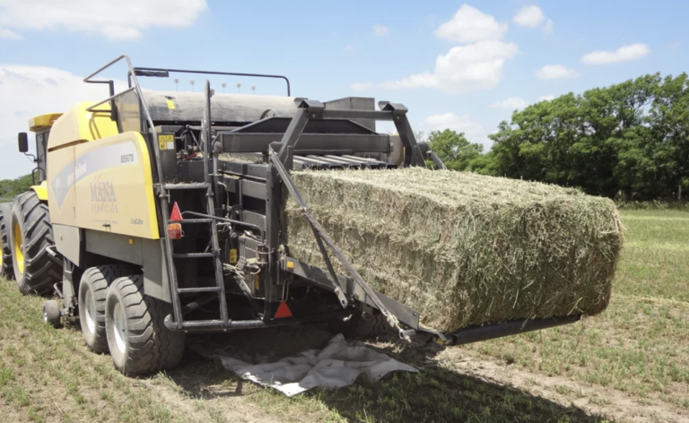 Importante inversión en Tránsito 